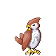 Gashawk