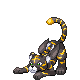 Noctiger